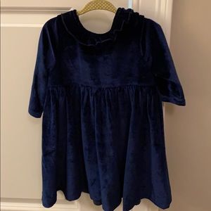 Pink chicken blue velour girls dress